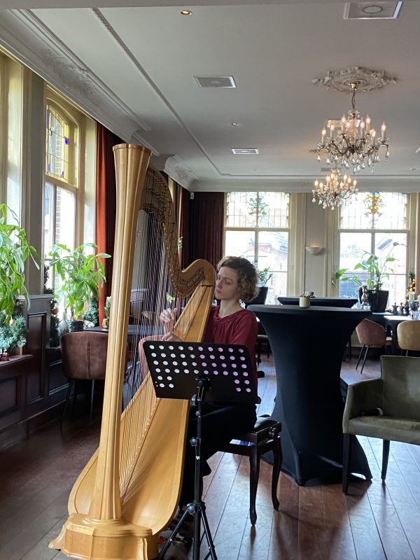 Lunch in Kerstsfeer in Het Raethuys Met muzikale omlijsting van harpiste Josefien de Waele 28-12-2023